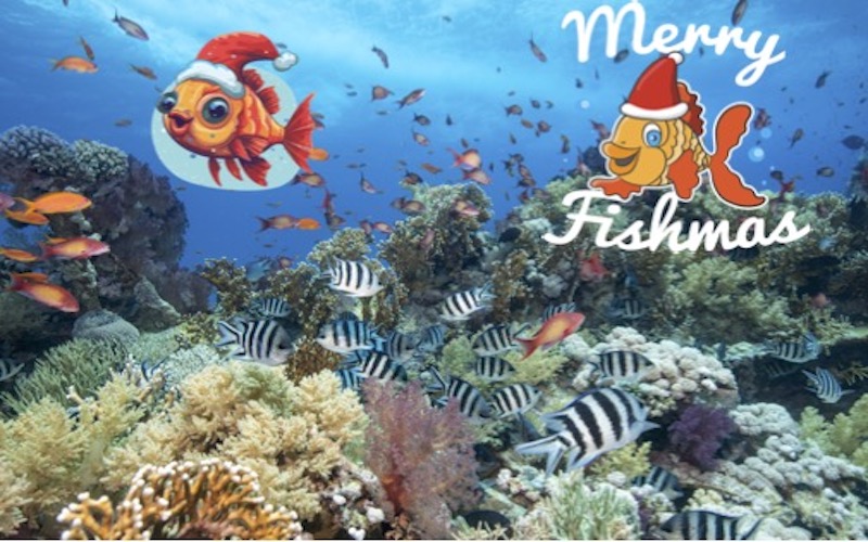 Kerstduiken in Sharm el Sheikh: Een feestelijk onderwaterlandschap